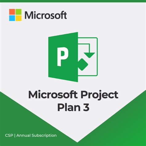Buy Microsoft Project Plan 3 .